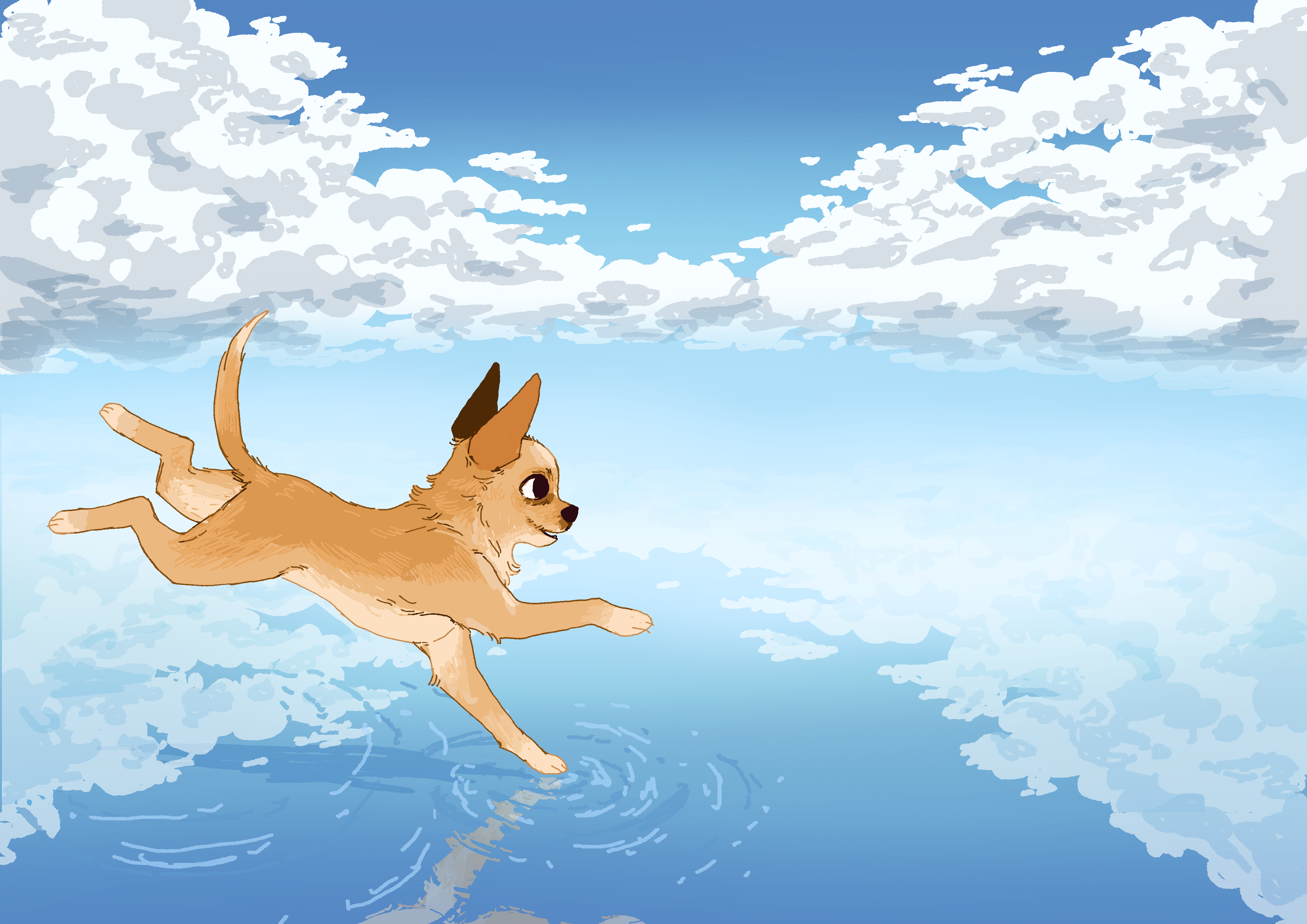 A small dog running on water